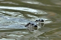 04 01 17_5240_edited-1
